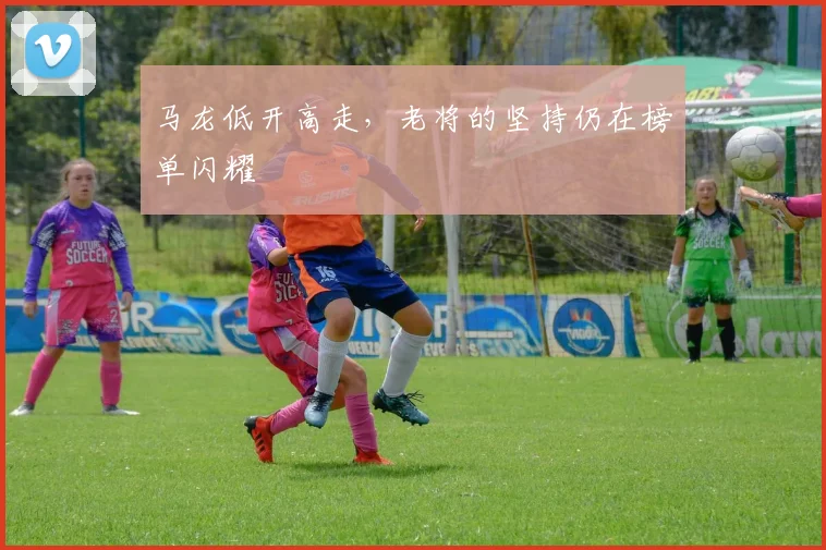 马龙低开高走,老将的坚持仍在榜单闪耀